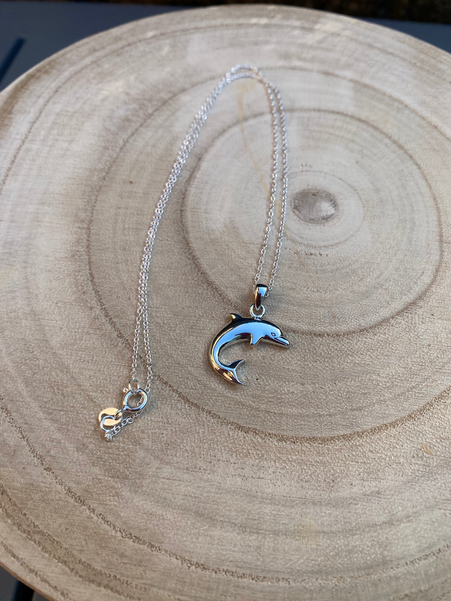 Dolphin Sterling Silver Necklace